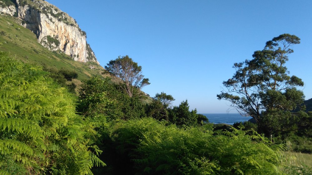 Coastal path, Sonabia, Cantabria